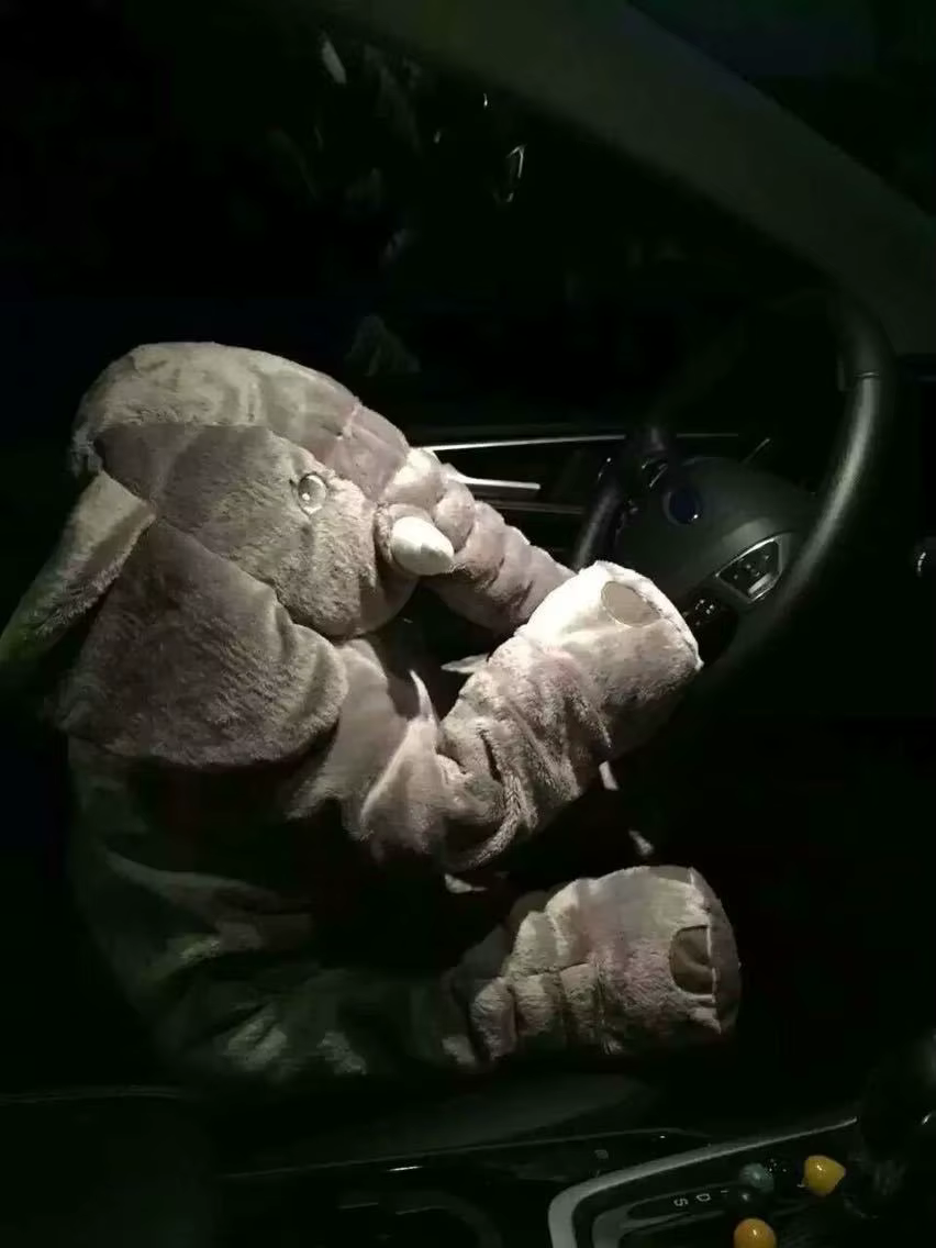 hall pehme elevant istub autos juhiistmel ja hoiab roolist kinni