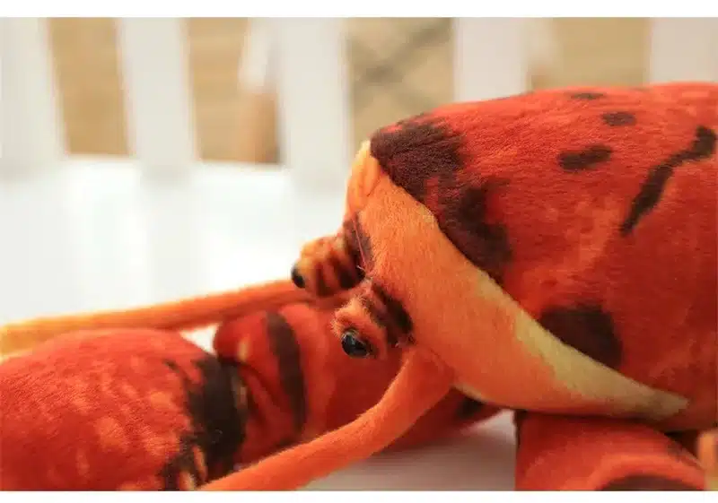 pehme oranž ja mustriline 3D padi, mis kujutab merevähki