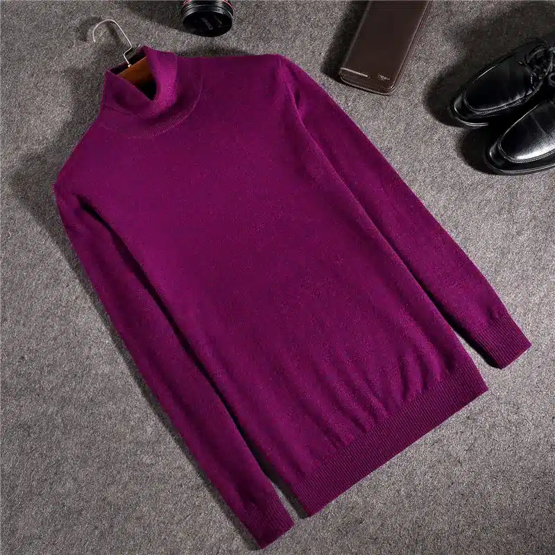 COODRONY Merino Wool Sweater Men Casual Classic Turtleneck Pull Homme 2017 Winter Soft Warm Cashmere Men's Pullover Sweaters 310 28