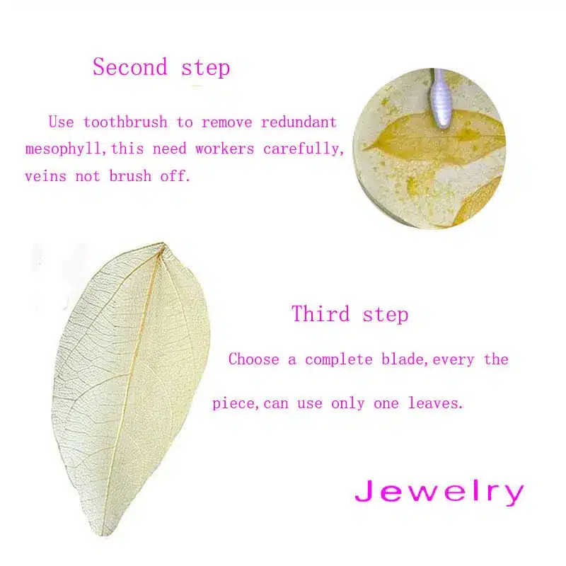 2017 Fashion Bohemian Long Earrings Unique Natural Real Leaf Big Earrings For Women Jewelry Gift 30