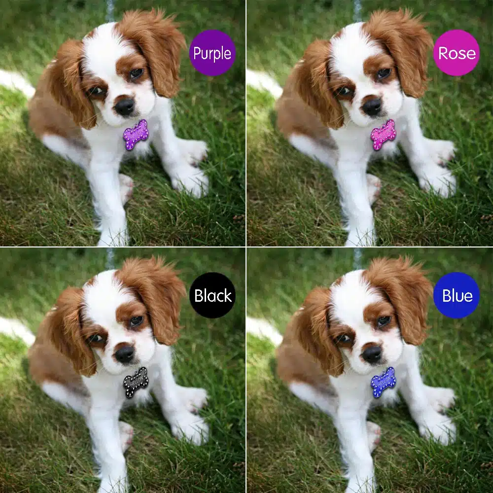Engraved Pet Dog Tags Custom Cat ID Name Tags for Pets Personalized Paw Bone Shape FREE Gift S L 25