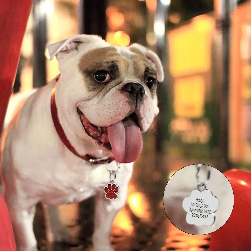 Engraved Pet Dog Tags Custom Cat ID Name Tags for Pets Personalized Paw Bone Shape FREE Gift S L 26