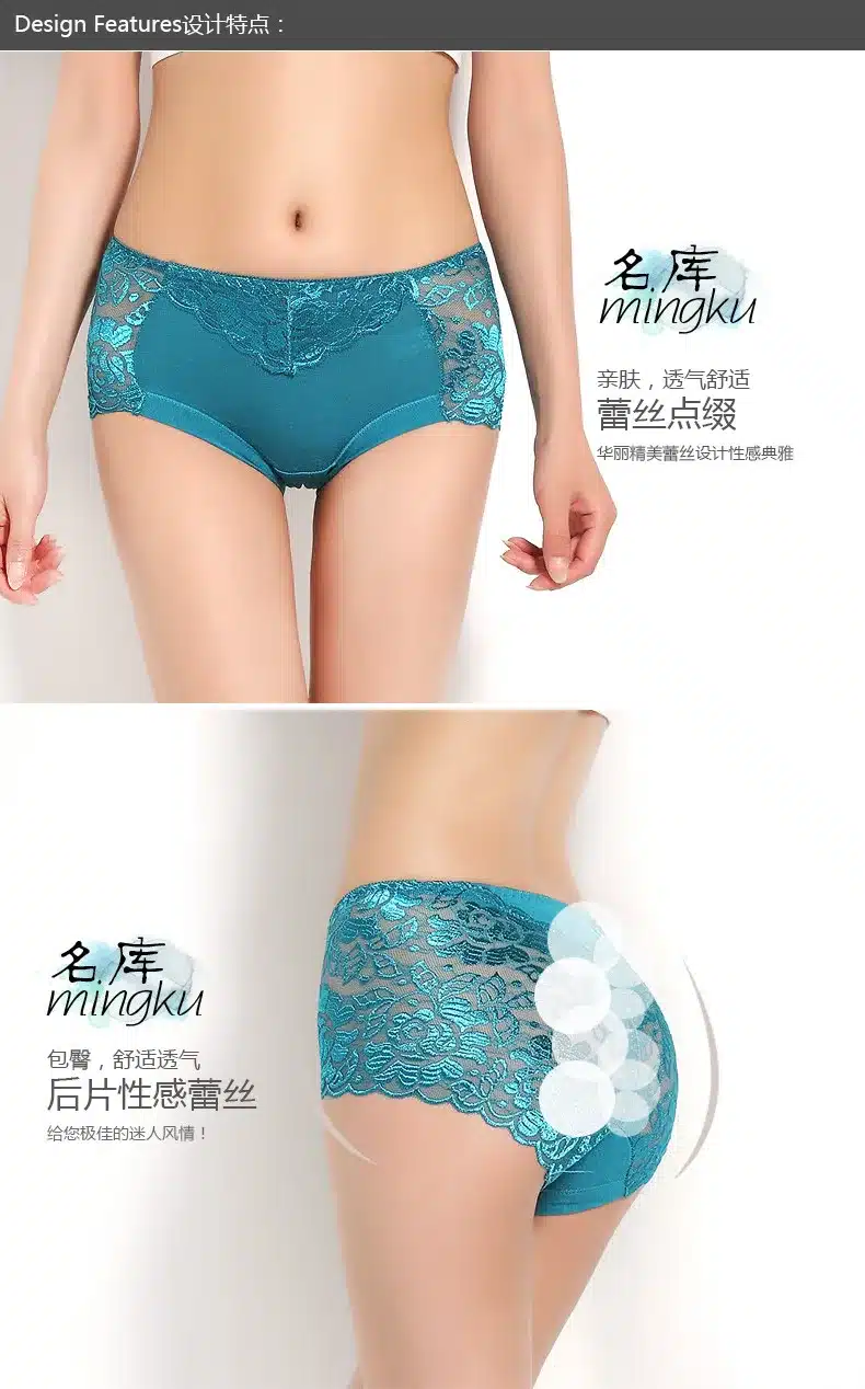 Women underwear panties briefs ondergoed dames slips panty sexy woman femme calcinha full transparent lace seamles plus size 4
