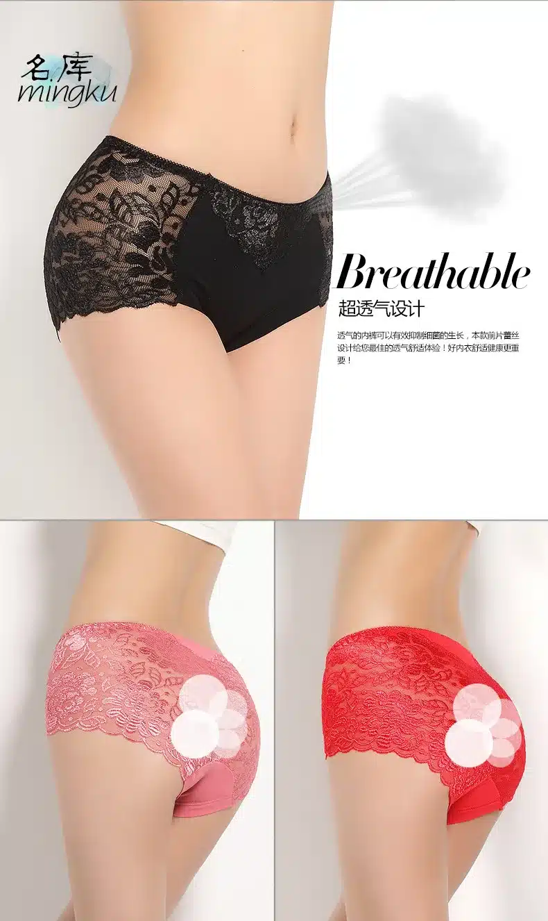 Women underwear panties briefs ondergoed dames slips panty sexy woman femme calcinha full transparent lace seamles plus size 6