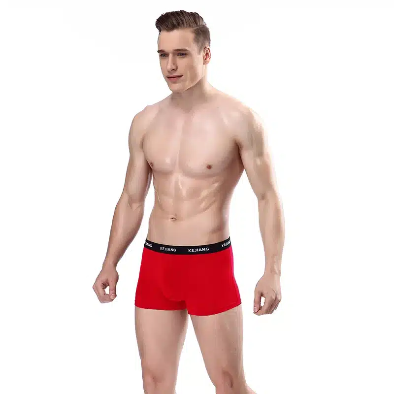 Sexy Men Boxer Soft Breathable Underwear Male Comfortable Solid Panties Underpants Cueca Boxershorts Homme For Men high quality 4