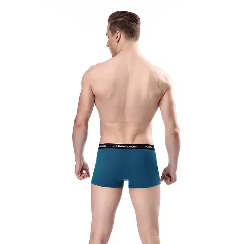 Sexy Men Boxer Soft Breathable Underwear Male Comfortable Solid Panties Underpants Cueca Boxershorts Homme For Men high quality 11