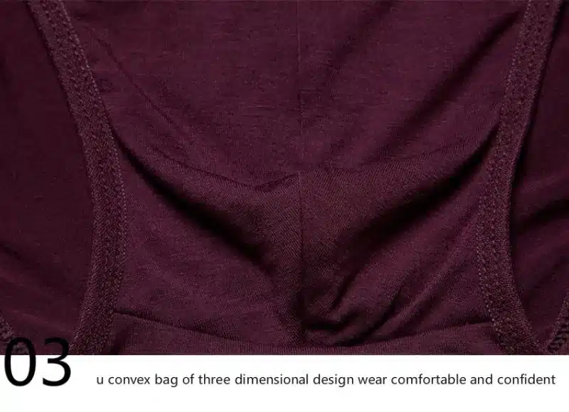 DANJIU Hot Bamboo Fiber Men's Underwear Sexy Comfortable Breathable Briefs Elasticity Male Underpants Men Solid Cueca Panties 21