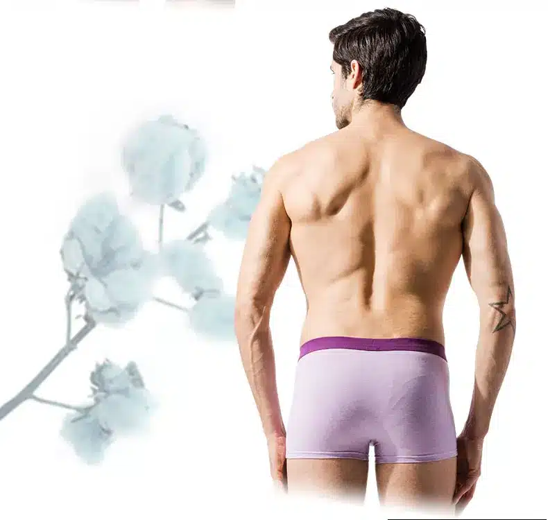 2017 Panties Mens 4Pcslot Underwear Organic Natural Cotton Boxers Men Sexy Boxers Ventilate Plus Size Boxers L XL XXL XXXL 4XL 12