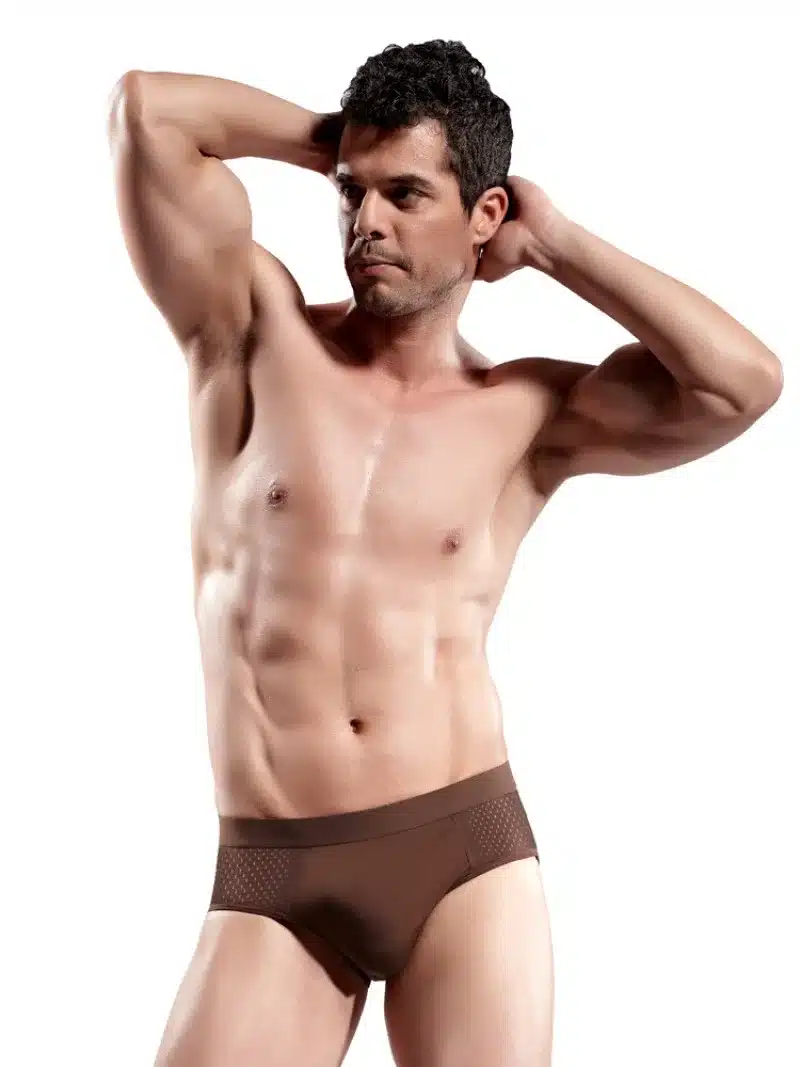 DANJIU Breathable Mesh Silk Men's Underwear New 2017 Briefs Men Bamboo Fiber Mens Bodysuit Male Comfortable Solid Underpants 10