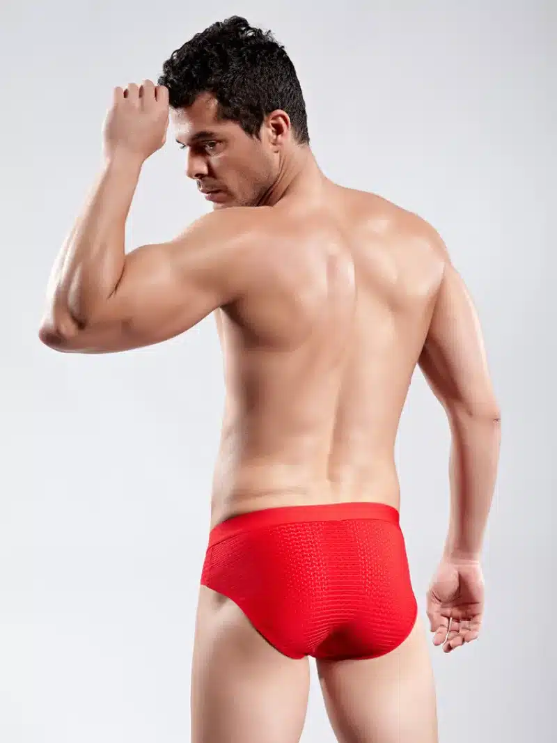 DANJIU Breathable Mesh Silk Men's Underwear New 2017 Briefs Men Bamboo Fiber Mens Bodysuit Male Comfortable Solid Underpants 22