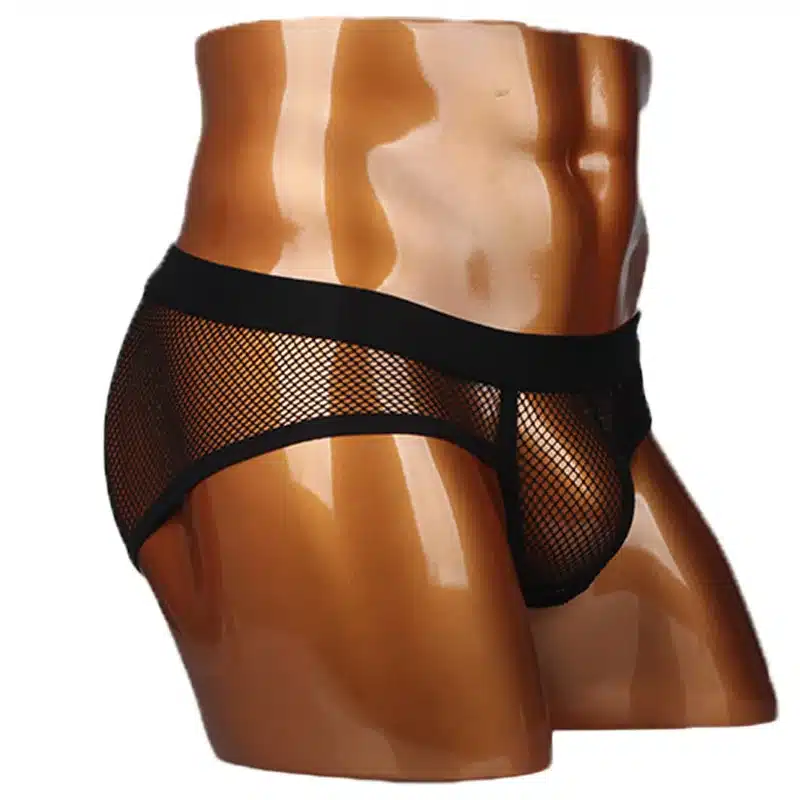 Hot Selling Men Underwear Transparent Net Mesh Bikini Briefs Underwear Bulge Underpants Fashion Waist Brief Sexy Lingerie Gift 14
