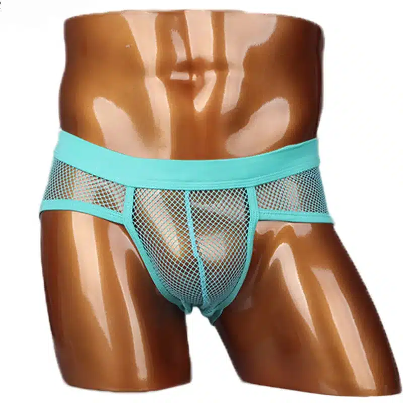 Hot Selling Men Underwear Transparent Net Mesh Bikini Briefs Underwear Bulge Underpants Fashion Waist Brief Sexy Lingerie Gift 15