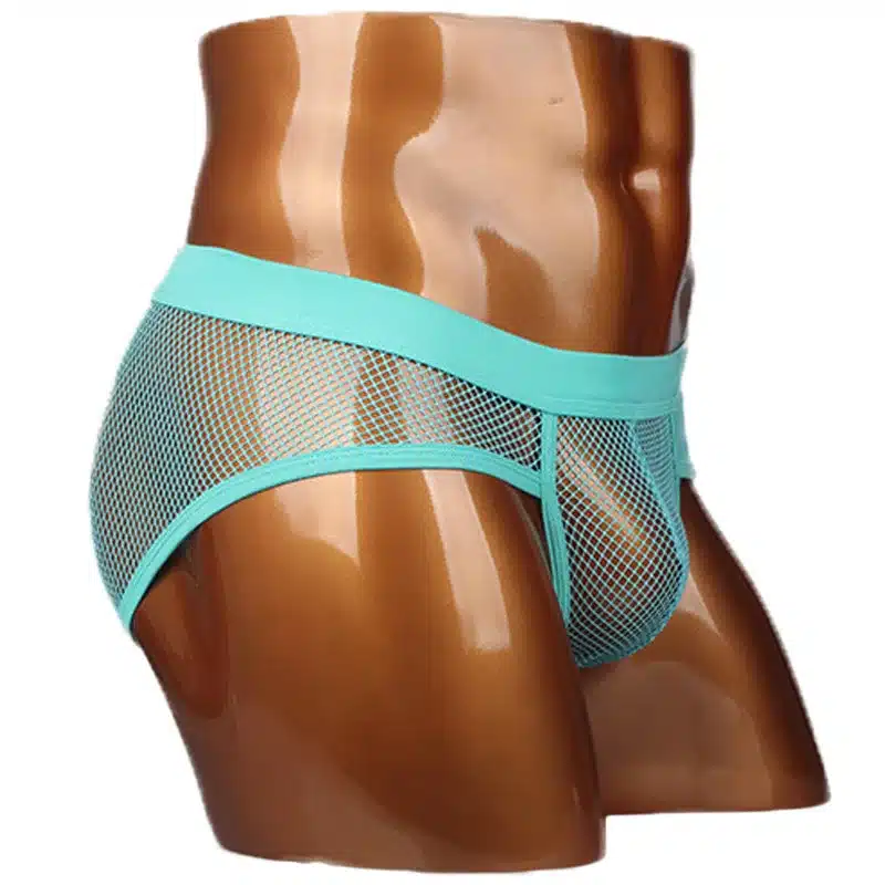Hot Selling Men Underwear Transparent Net Mesh Bikini Briefs Underwear Bulge Underpants Fashion Waist Brief Sexy Lingerie Gift 16