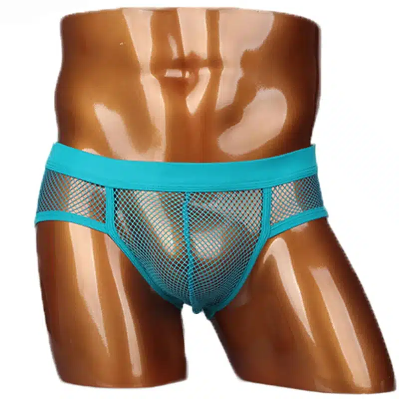 Hot Selling Men Underwear Transparent Net Mesh Bikini Briefs Underwear Bulge Underpants Fashion Waist Brief Sexy Lingerie Gift 17