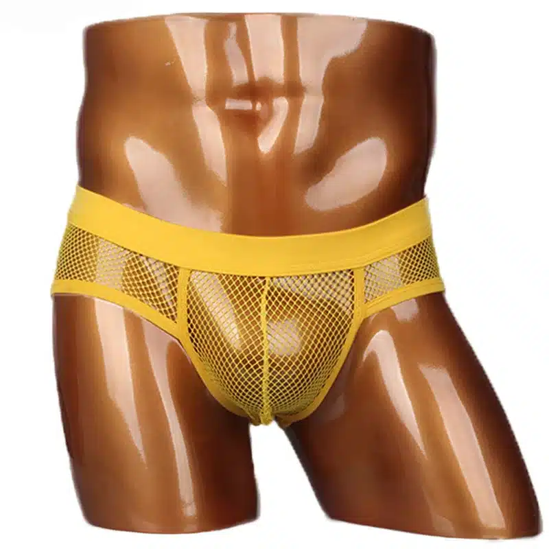 Hot Selling Men Underwear Transparent Net Mesh Bikini Briefs Underwear Bulge Underpants Fashion Waist Brief Sexy Lingerie Gift 20