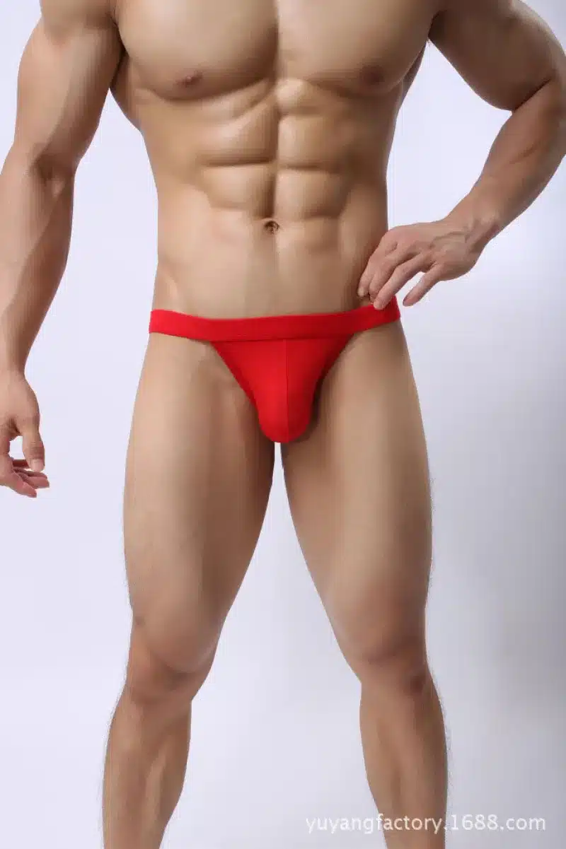 Sexy Solid Male Underwear Modal 3XL Large Size Gay Man Briefs Soft Low Waist Mens Panties Slip Cueca Calzoncillos Underpants 16