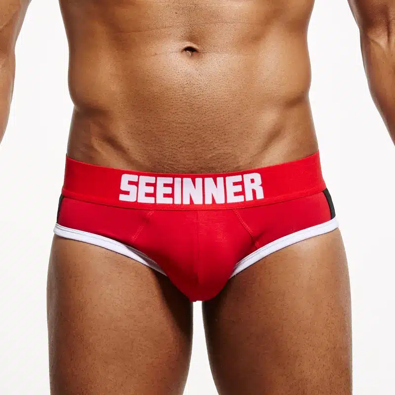 Seeinner brand men bulge enhancing gay underwear push up cup front enhancement sexy men briefs calzoncillos hombre slip 21
