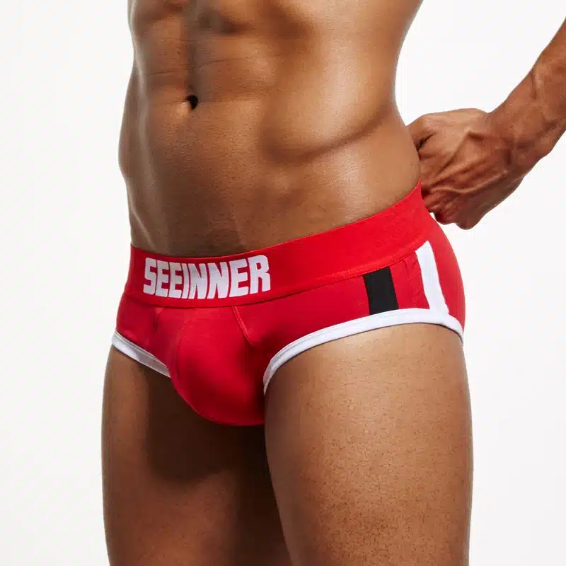 Seeinner brand men bulge enhancing gay underwear push up cup front enhancement sexy men briefs calzoncillos hombre slip 22