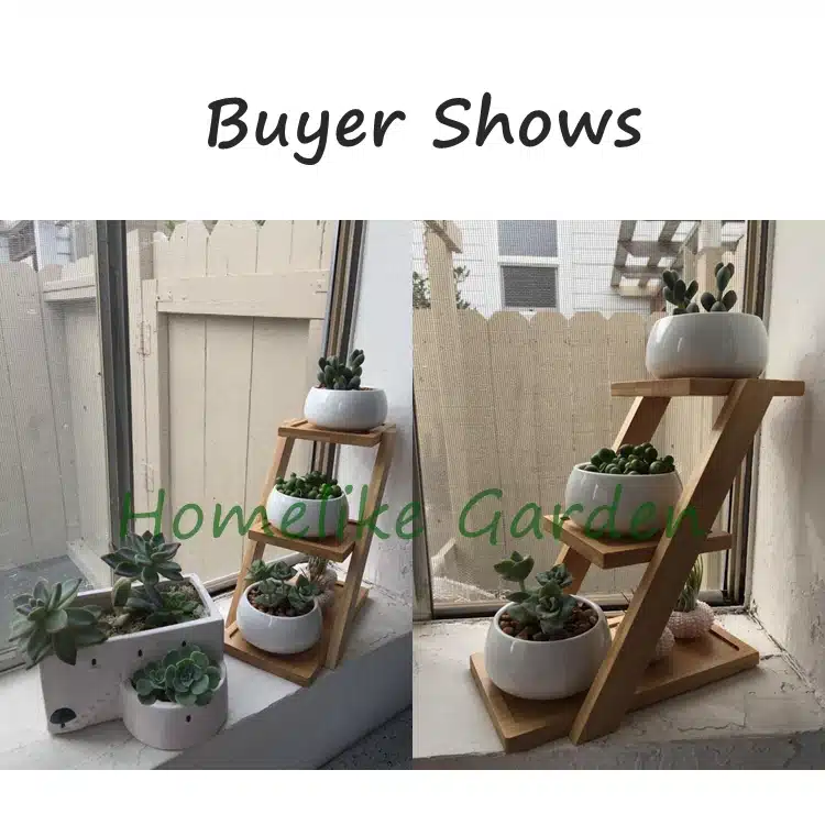 1 Set Modern Minimalist White Ceramic Flowerpot Succulent Plant Pot 3 Bonsai Planters with 3-Tier Bamboo Shelf Home Garden Decor 10