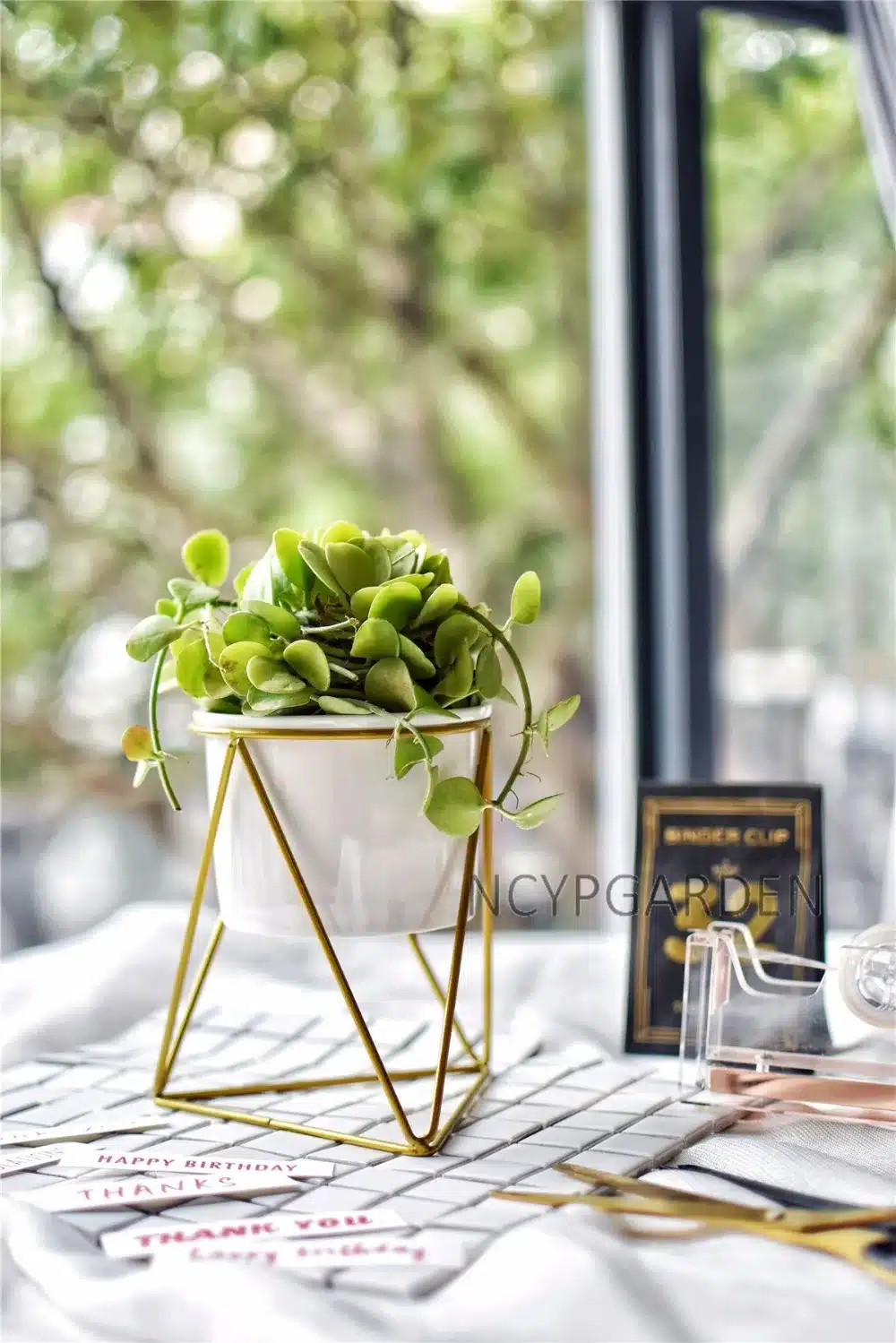Modern Desktop White Small Ceramic Plant Flower Pot Planter with Geometric Yellow Iron Rack Holder for Succulents Herbs Cactus 9
