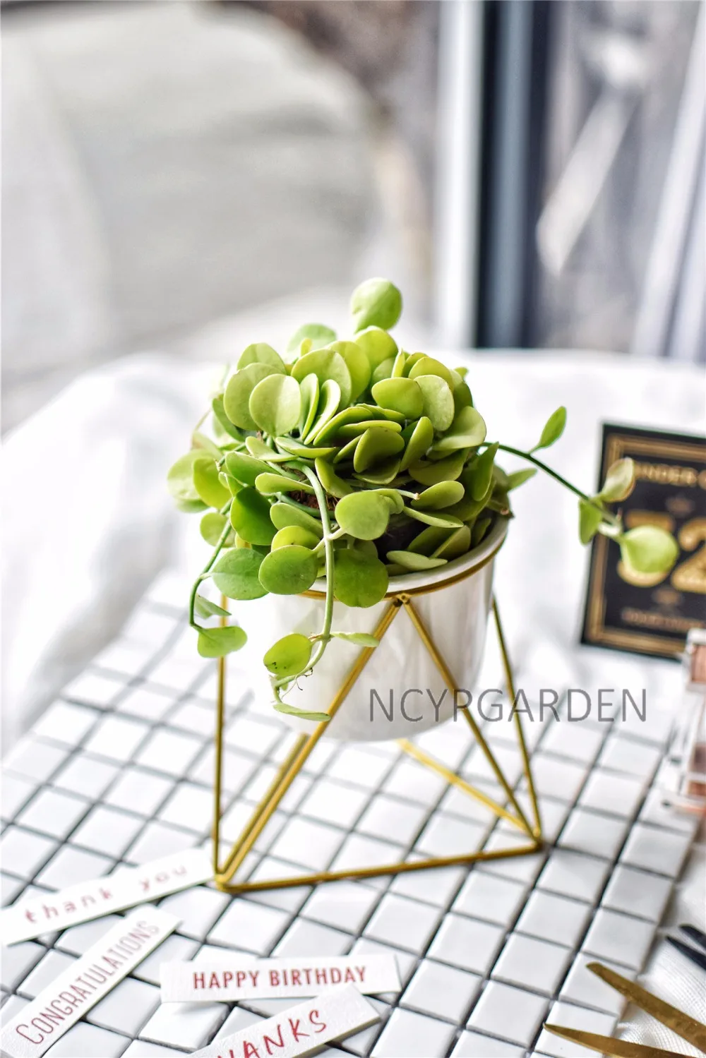 Modern Desktop White Small Ceramic Plant Flower Pot Planter with Geometric Yellow Iron Rack Holder for Succulents Herbs Cactus 11