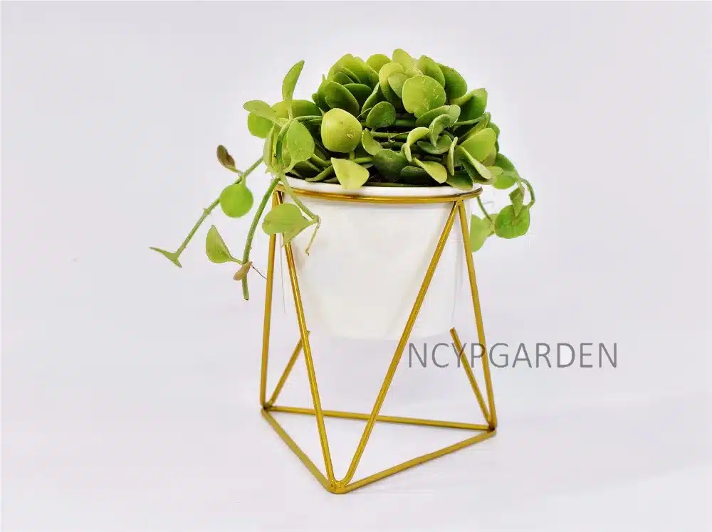 Modern Desktop White Small Ceramic Plant Flower Pot Planter with Geometric Yellow Iron Rack Holder for Succulents Herbs Cactus 12