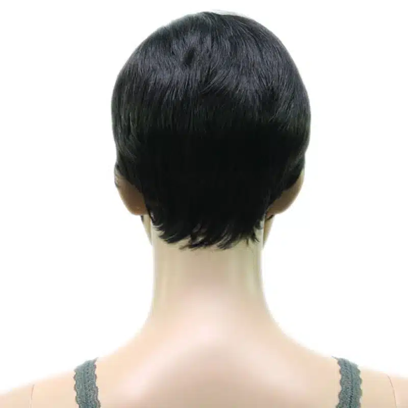 HAIRJOY Synthetic Muti Color Bangs High Temperature Fiber Woman Short Hair Wig 11 Colors Available 3