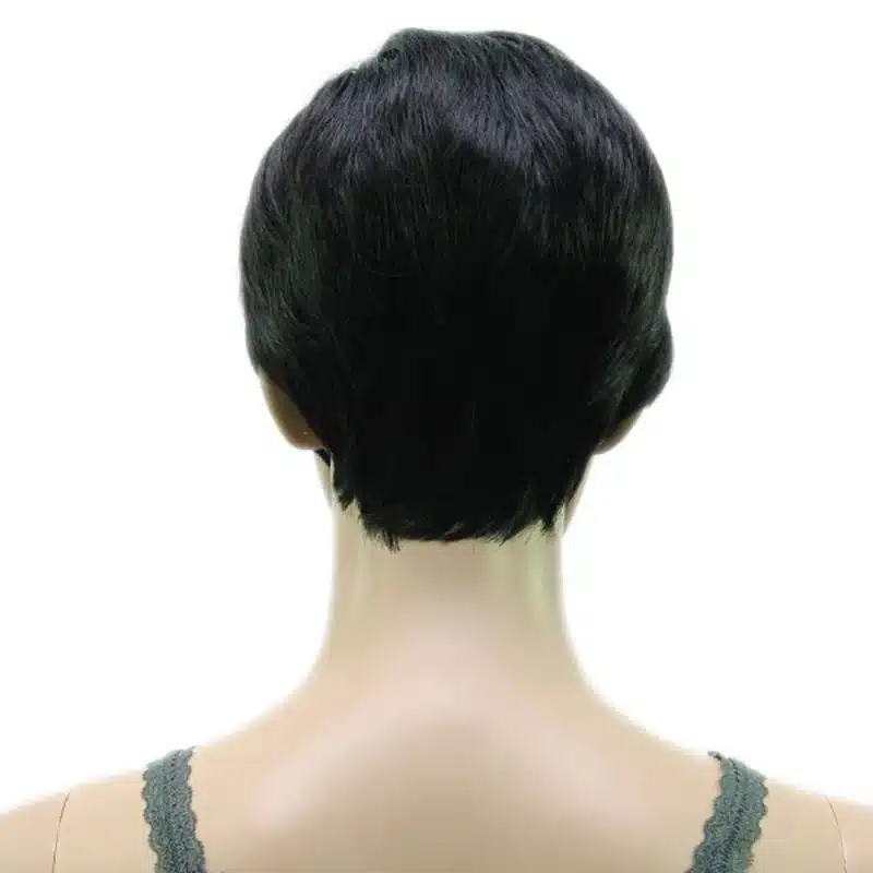 HAIRJOY Synthetic Muti Color Bangs High Temperature Fiber Woman Short Hair Wig 11 Colors Available 6