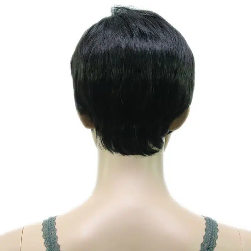 HAIRJOY Synthetic Muti Color Bangs High Temperature Fiber Woman Short Hair Wig 11 Colors Available 9