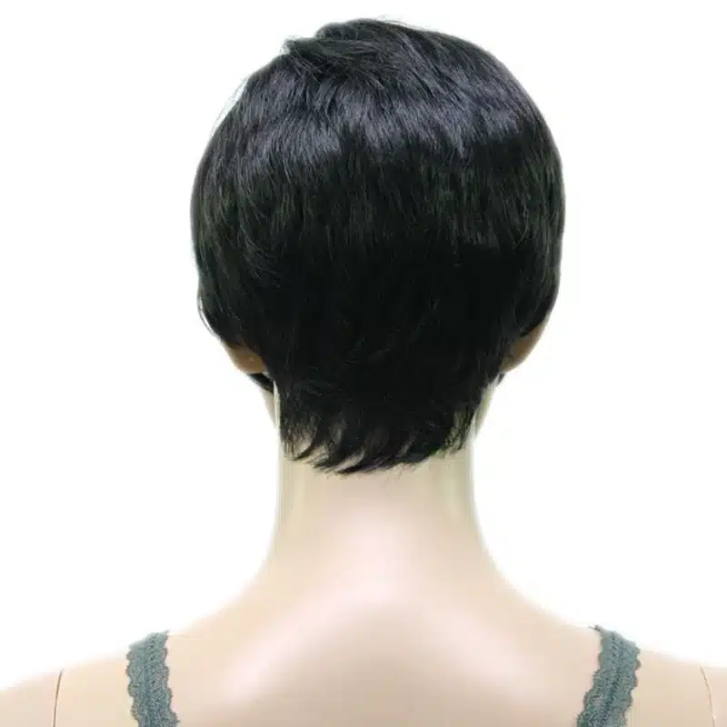 HAIRJOY Synthetic Muti Color Bangs High Temperature Fiber Woman Short Hair Wig 11 Colors Available 12