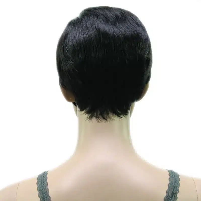 HAIRJOY Synthetic Muti Color Bangs High Temperature Fiber Woman Short Hair Wig 11 Colors Available 15