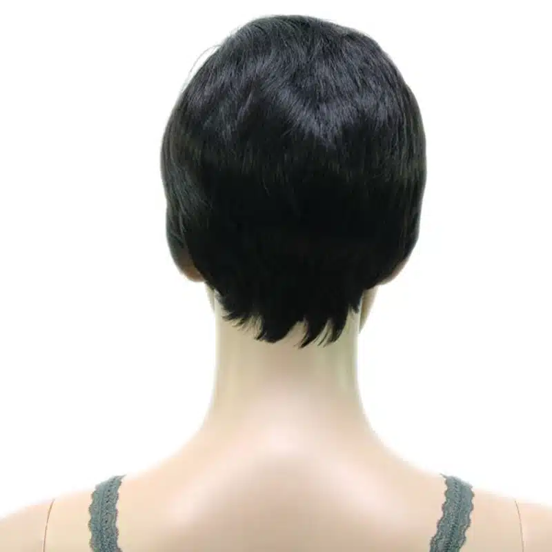 HAIRJOY Synthetic Muti Color Bangs High Temperature Fiber Woman Short Hair Wig 11 Colors Available 18
