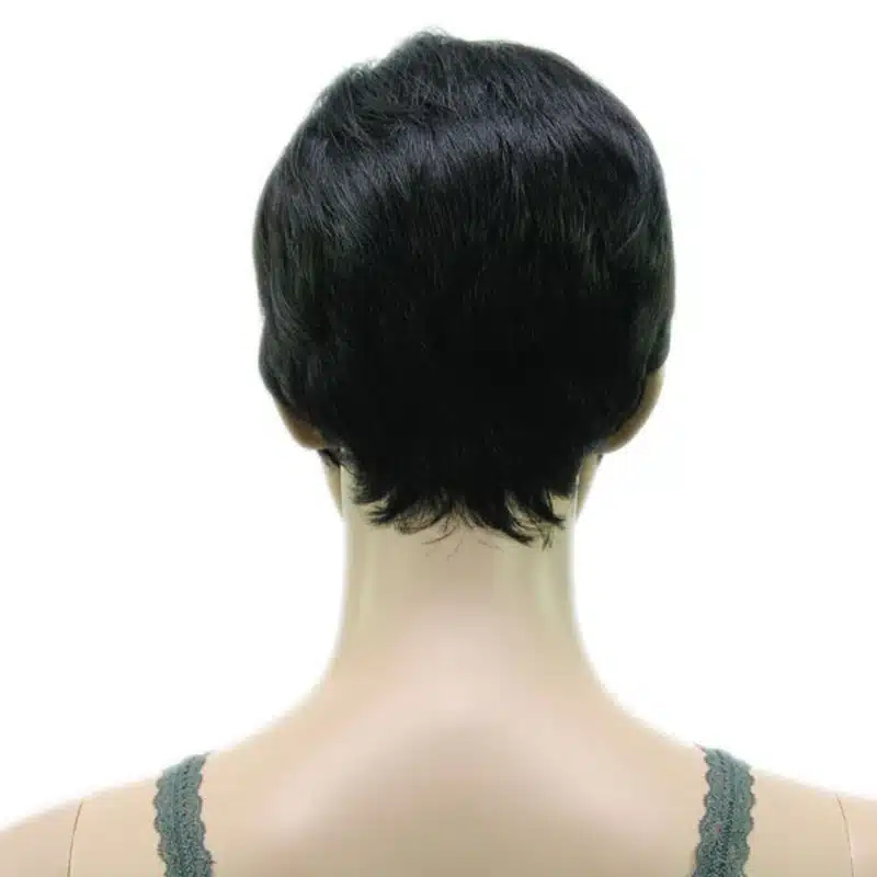 HAIRJOY Synthetic Muti Color Bangs High Temperature Fiber Woman Short Hair Wig 11 Colors Available 21