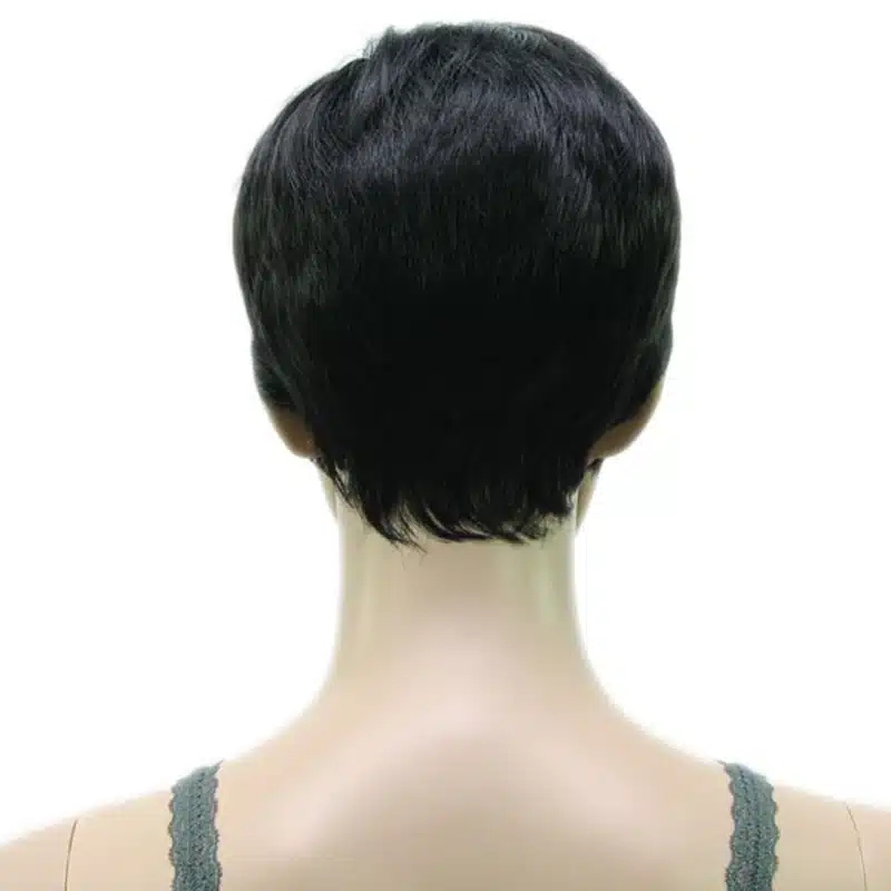HAIRJOY Synthetic Muti Color Bangs High Temperature Fiber Woman Short Hair Wig 11 Colors Available 24