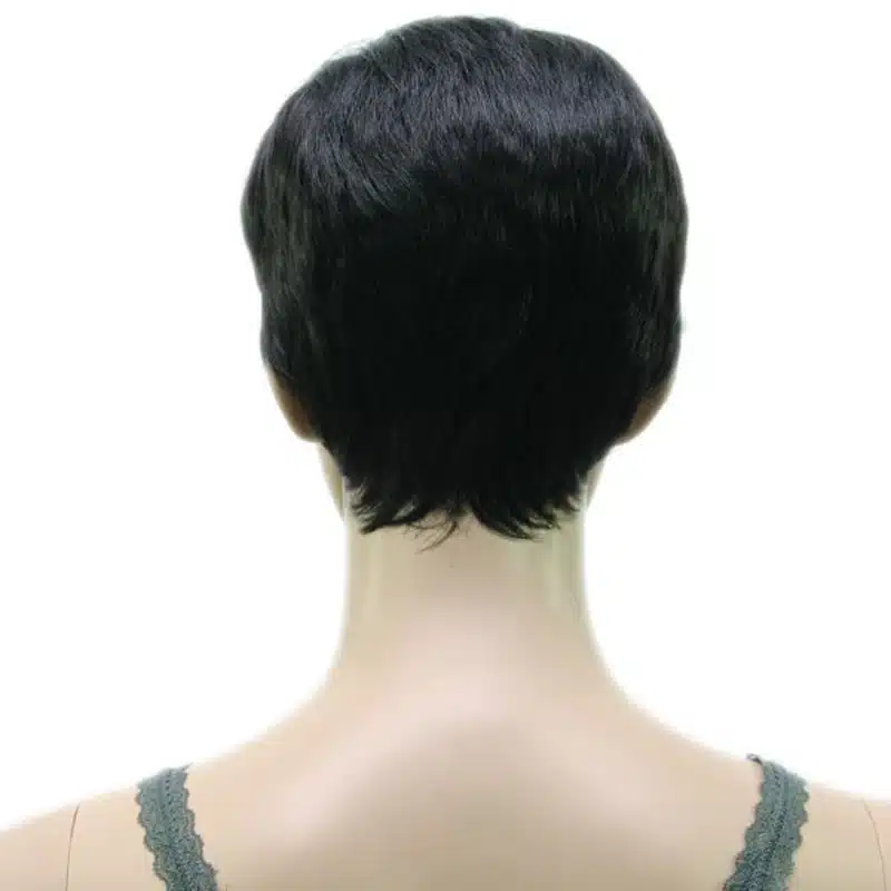 HAIRJOY Synthetic Muti Color Bangs High Temperature Fiber Woman Short Hair Wig 11 Colors Available 27