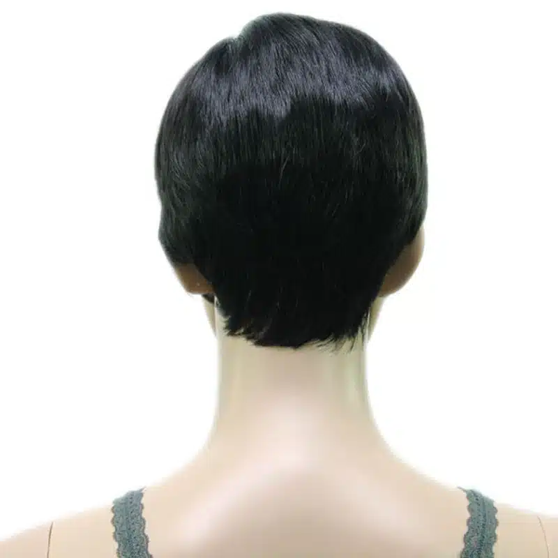 HAIRJOY Synthetic Muti Color Bangs High Temperature Fiber Woman Short Hair Wig 11 Colors Available 30