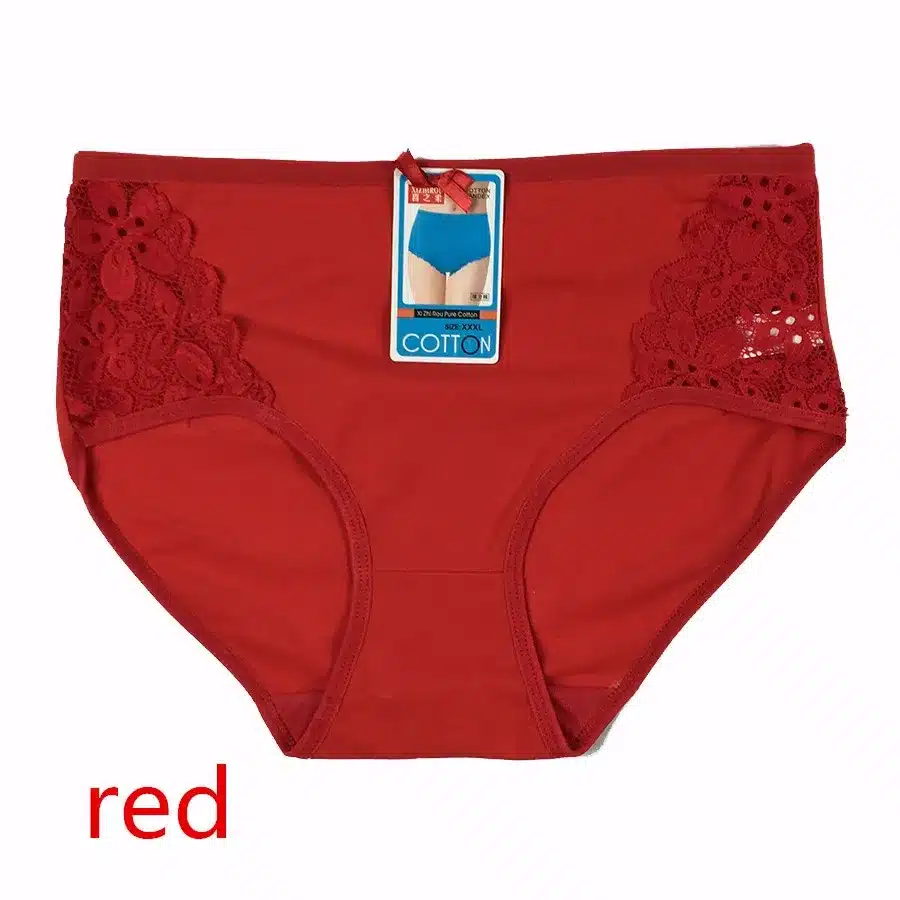 4PCS/lot Women Briefs Cotton Sexy Panty Lace Panties Underwear Ladies Underpants Large Size XXXL 4XL 5XL 14