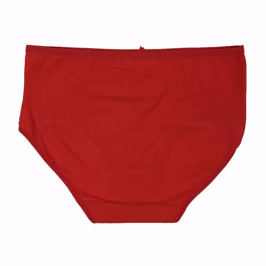 4PCS/lot Women Briefs Cotton Sexy Panty Lace Panties Underwear Ladies Underpants Large Size XXXL 4XL 5XL 15