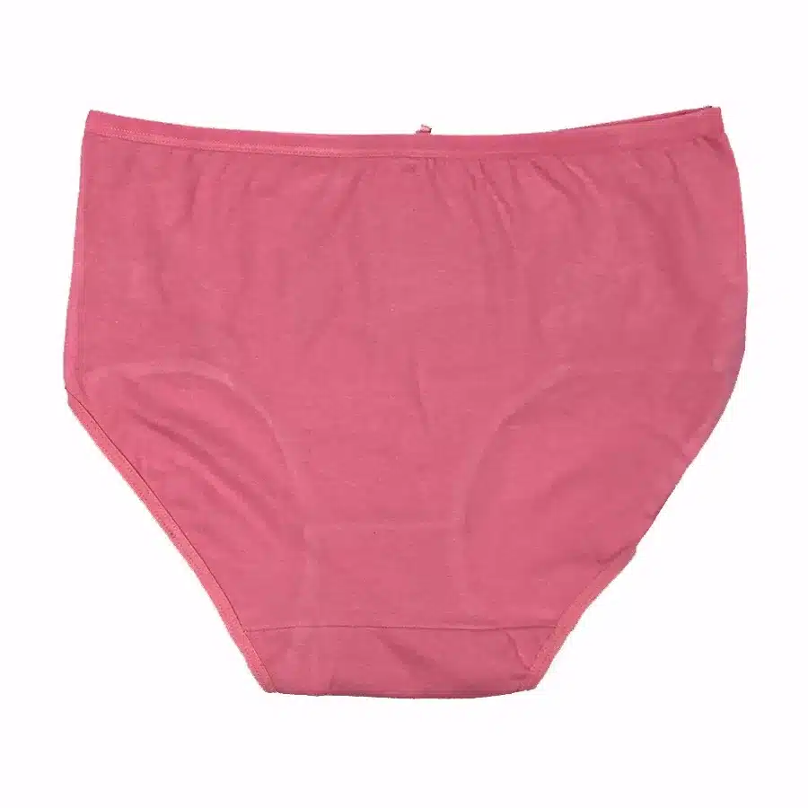 4PCS/lot Women Briefs Cotton Sexy Panty Lace Panties Underwear Ladies Underpants Large Size XXXL 4XL 5XL 27