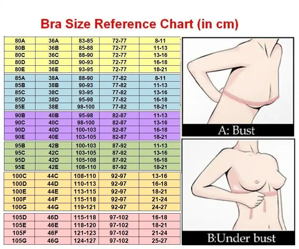 Women's Sexy Smooth Seamless Essential Normal Padded No Plush up Underwire Full Coverage T-shirt Bra C/D cups Plus Sizes H216 1