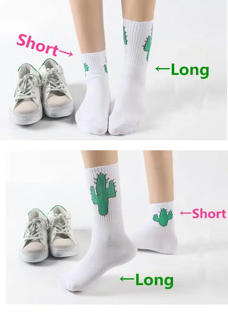 Foot 22-26cm Crew Socks Blaze Flame Mid Long Cacti Cactus Tractor Pistol Gun Conch Whelk Sea Snail Trumpet Shell Dinosaur Fire 1