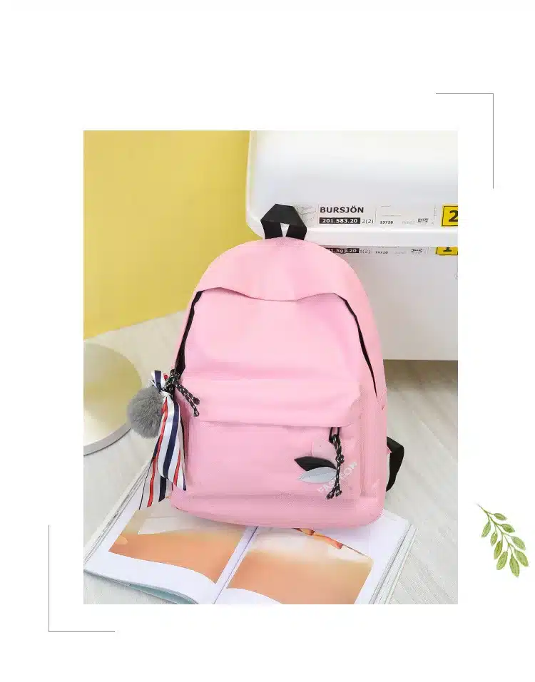 2018 New Women Canvas Backpacks High Quality School Bags for Teenage Girls Fashion Colleage Students Backbag Women Rucksacks 20