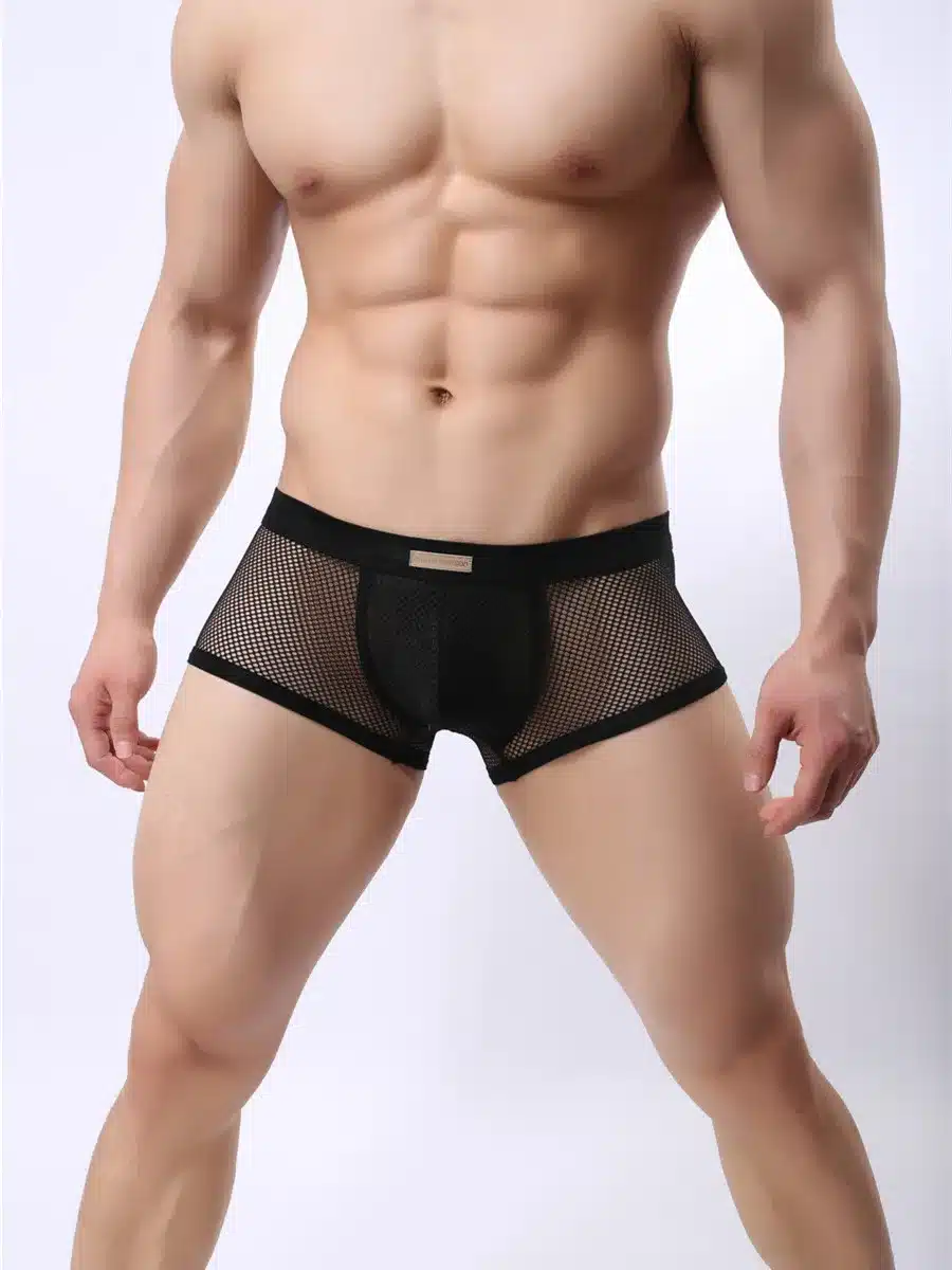 BRAVE PERSON Underwear Men's Fun Breathable Mesh Hollow Boxer Shorts Sexy Underwear Transparent Men Boxers Summer Style B1150 7