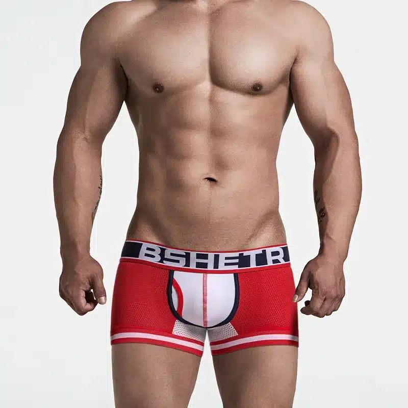 Super Hot Sexy Men Underwear Boxers New Mesh Boxer shorts Men Pants Trunks Underpants Cueca Bottom Cotton Male Panties 2018 15