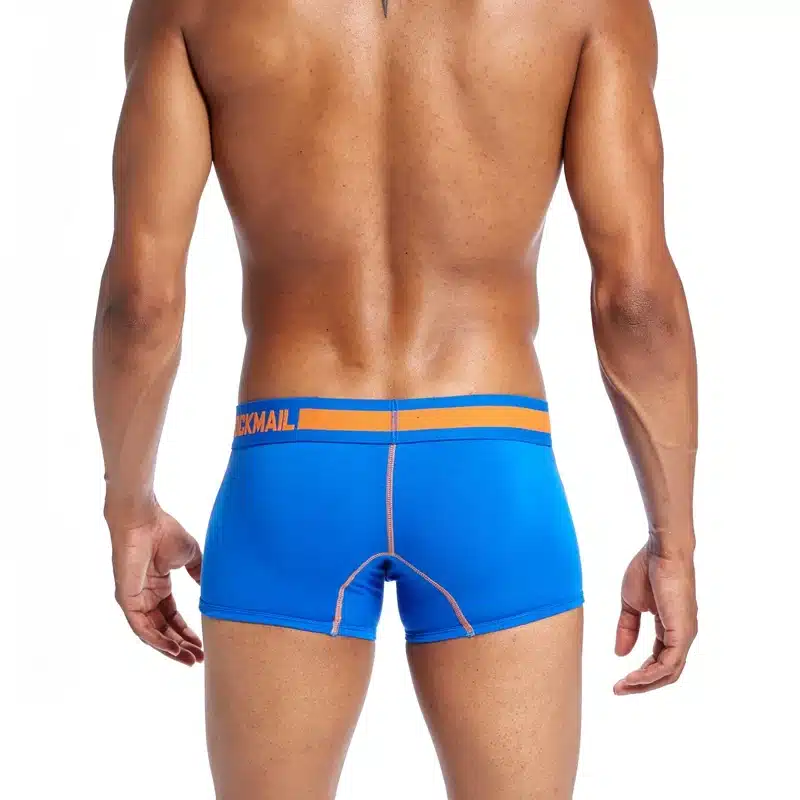 Brand Underwear Men Boxer Mesh U Pouch Sexy Underpants Cueca Cotton Pants Trunks Boxer shorts Gay Male Panties boxershorts men 23