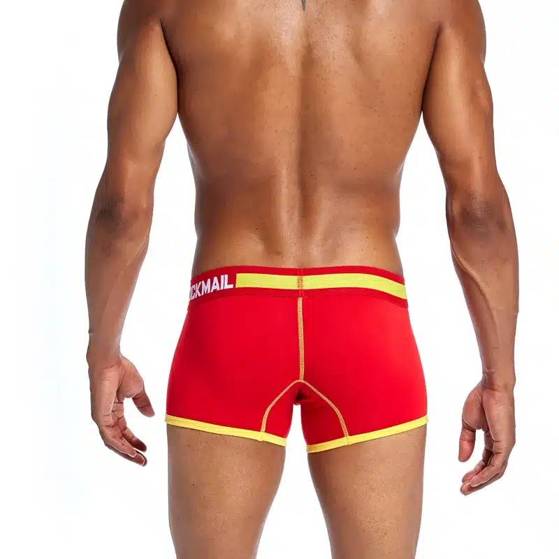 Brand Underwear Men Boxer Mesh U Pouch Sexy Underpants Cueca Cotton Pants Trunks Boxer shorts Gay Male Panties boxershorts men 27