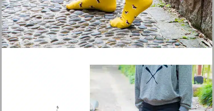 Winter Autumn New Women In Tube Sock Dog Animal Women Socks Fashion Cotton EUR35-40 9