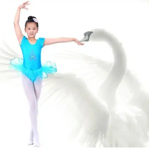 Child Girls Ballet Dancewear Dress Dance Skirt Tutu Dress Leotard Dancewear 6