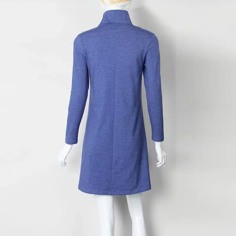New Fashion Autumn Winter Dress Turtleneck Long Sleeve Loose Casual Dress New Solid Dress Women A-Line Robe Plus Size GV160 11