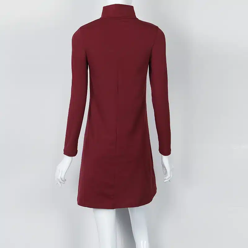 New Fashion Autumn Winter Dress Turtleneck Long Sleeve Loose Casual Dress New Solid Dress Women A-Line Robe Plus Size GV160 17